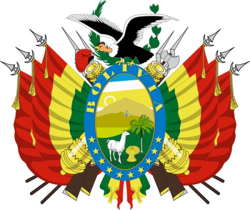 Elecciones Generales Estado Plurinacional de Bolivia. Informe Final