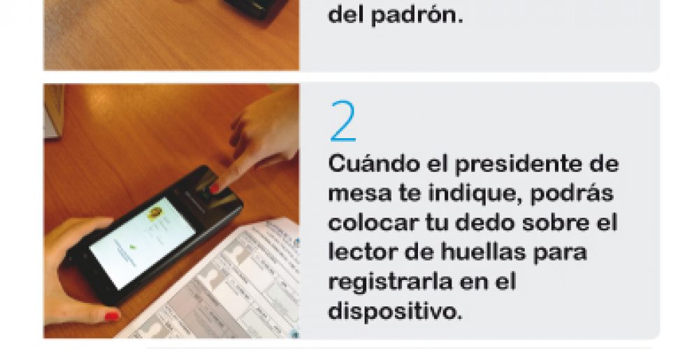 Particularidades de las elecciones legislativas PASO 2017