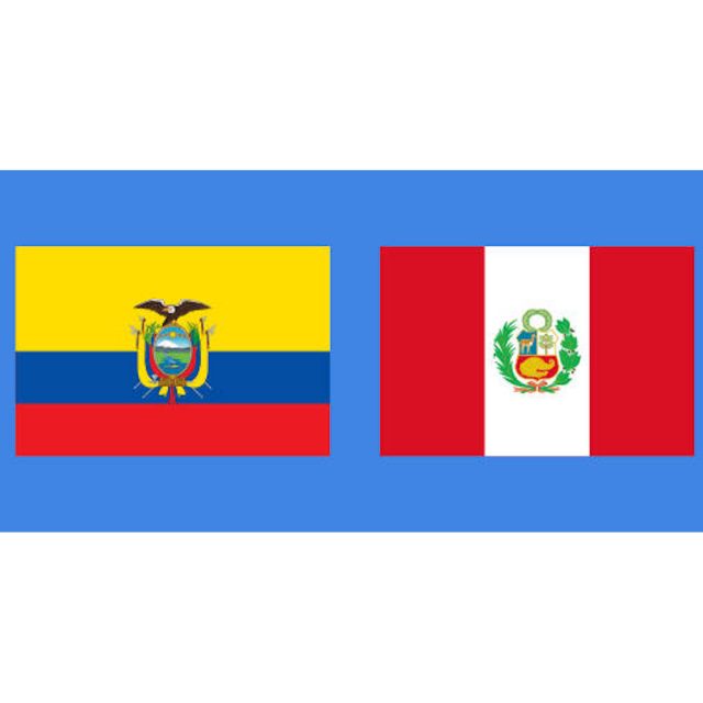 IDEMOE fue observador acreditado en las Elecciones de Perú y la 2° vuelta de Ecuador