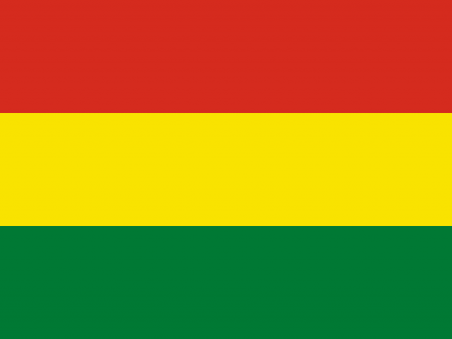 Informe Final: Misión de Observación Internacional. Elecciones Generales 2020. Estado Plurinacional de Bolivia