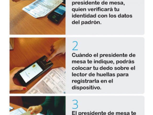Particularidades de las elecciones legislativas PASO 2017