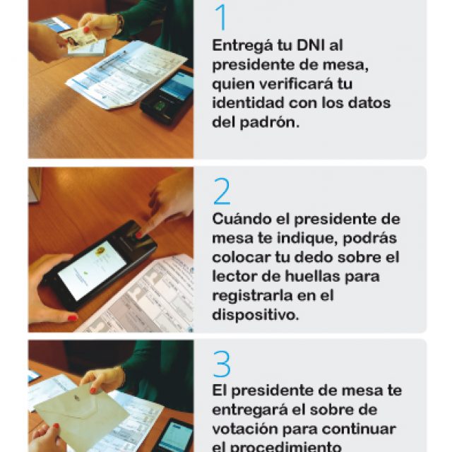 Particularidades de las elecciones legislativas PASO 2017