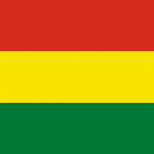 Informe Final: Misión de Observación Internacional. Elecciones Generales 2020. Estado Plurinacional de Bolivia