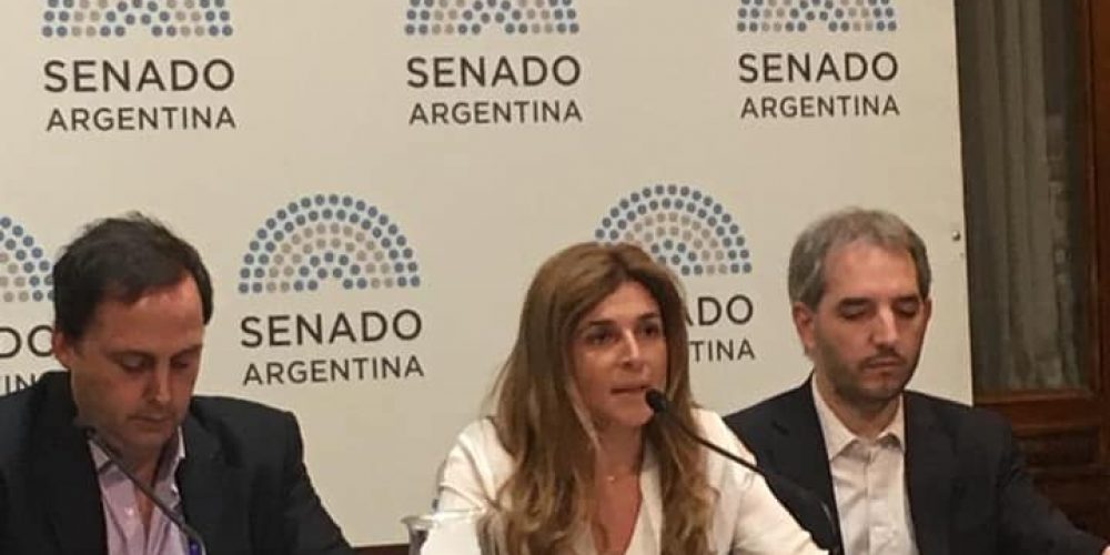 IDEMOE expuso en el Senado de la Nación sobre Financiamiento de los Partidos Políticos